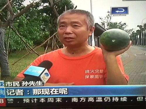 今日吃瓜热门事件最新视频下载,视频揭秘，真相大白！